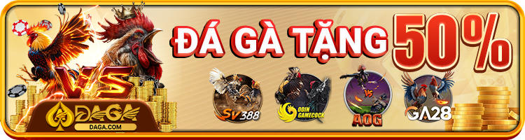 Khuyến mãi dành cho đá gà tại daga87